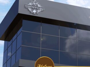 تصميم الهويه البصريه للشركات الناشئه ورجال الاعمال