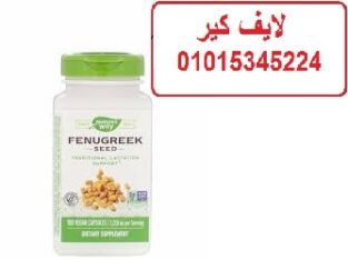 180الحلبه الامريكي
