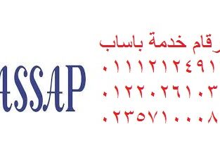مركز صيانه باساب حدائق 6 اكتوبر 01095999314
