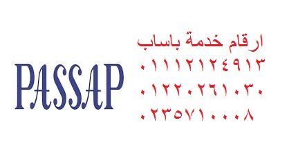 صيانه ثلاجات باساب مدينة نصر 01093055835