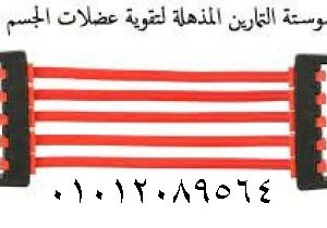 سوستة التمارين المذهلة لتقوية عضلات الجسم