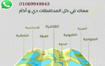 ليه تشحن لمكان قريب مع ريزو للشحن الخفيف