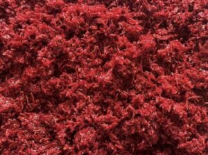 تعلم تصنيع المعسل