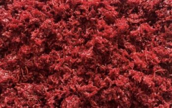 تعلم تصنيع المعسل