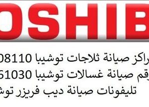 اصلاح منتجات توشيبا داخل شبراخيت 01154008110