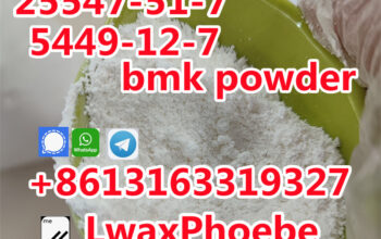 Strong bmk acid powder 5449-12-7/25547-51-7