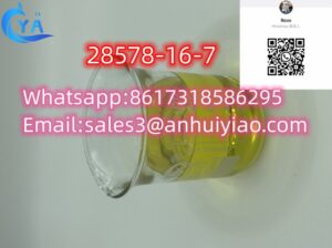 China Phenibut Chemical Pmk cas 28578-16-7