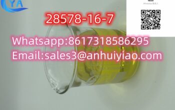 China Phenibut Chemical Pmk cas 28578-16-7