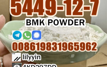 China Factory bmk 5449-12-7