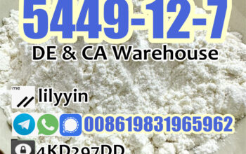 5449-12-7 Germany Stock high purity bmk powder