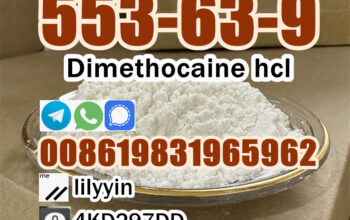 Dimethocaine 553-63-9