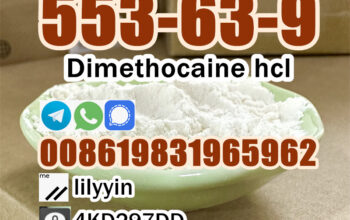 China Factory Dimethocaine 553-63-9