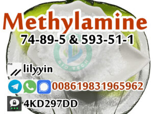 Methylamine 593-51-1