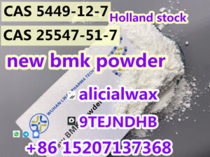 New BMK Powder CAS 25547-51-7/5449-12-7 convert to