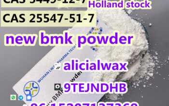 New BMK Powder CAS 25547-51-7/5449-12-7 convert to