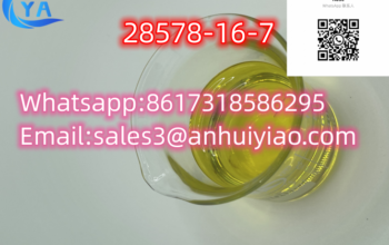 High Purity Pmk Oil/Powder CAS 28578-16-7