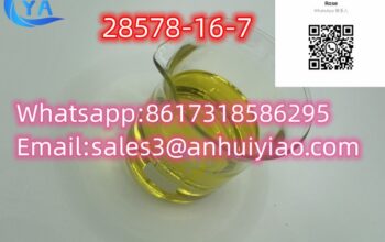 CAS. 28578-16-7 High Purity Best Price