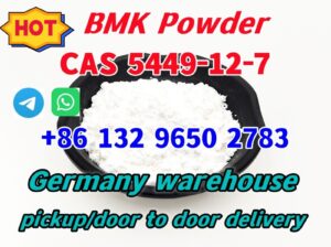 Factory supply CAS 5449-12-7 BMK Glycidic Acid (so