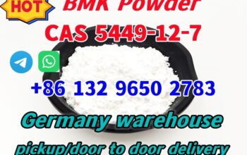 Factory supply CAS 5449-12-7 BMK Glycidic Acid (so
