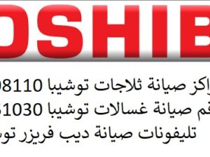 صيانة توشيبا في ابو حماد 01220261030
