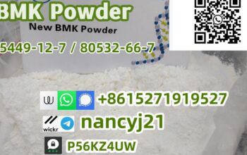 BMK Glycidate Benzeneacetic 5449-12-7 41232-97-7 8