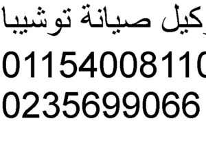 مركز اصلاح توشيبا اولاد صقر 01125892599