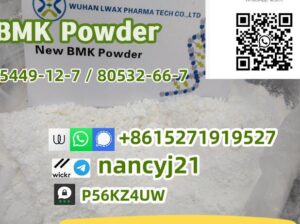 BMK Glycidate Benzeneacetic 5449-12-7 41232-97-7 8