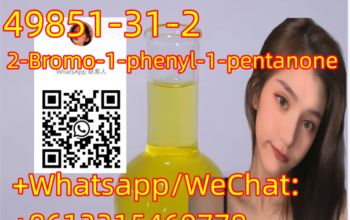 top supplier 49851-31-2 2-Bromo-1-phenyl-1-pentano