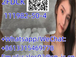 Big discounts 2FDCK CAS111982-50-4 2FDCK