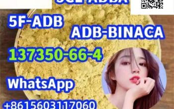  5CL CAS137350-66-4 ADBB/ADBA