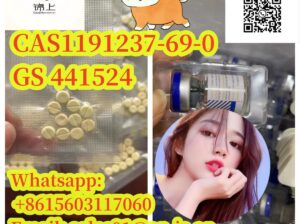 CAS1191237-69-0 GS 441524
