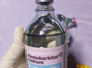 Buy Pentobarbital Sodium online, Buy Nembutal