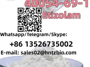 40054-69-1 Etizolam