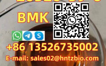 20320-59-6 BMK , Diethyl(phenylacetyl)malonate