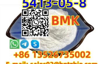 5413-05-8 BMK, ETHYL 2-PHENYLACETOACETATE