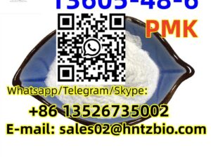 13605-48-6 PMK methyl glycidate