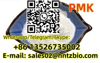 13605-48-6 PMK methyl glycidate