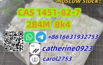 99% Powder Artemisinin CAS 1451-82-7