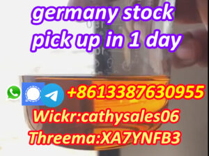 factory price PMK liquid Cas 28578-16-7 Overseas W