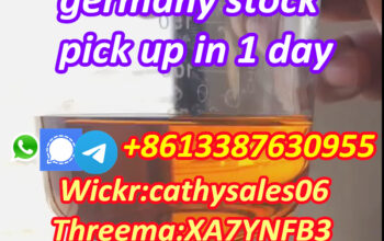 factory price PMK liquid Cas 28578-16-7 Overseas W