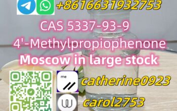 Methylpropiophenone CAS 5337-93-9 with Good Pric4-