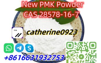 Pmk White Powder Pmk Oil CAS 28578-16-7
