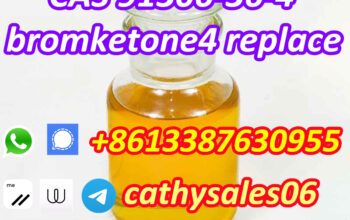 supplier CAS 91306-36-4 bromoketone4 hot sale 1451