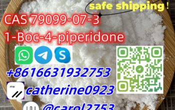 High Purity CAS 79099-07-3 with Best Price