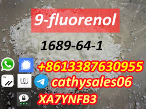 high quality 9-Hydroxyfluorene 1689-64-1 door to d