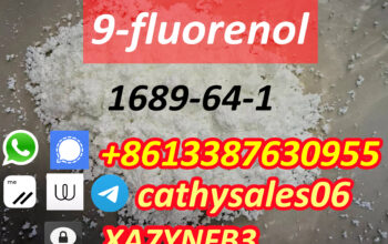 high quality 9-Hydroxyfluorene 1689-64-1 door to d