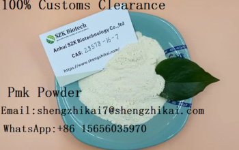 Factory Supply Pmk Powder Oil CAS 28578-16-7