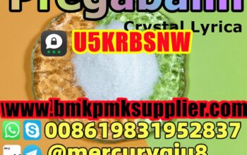 Hot Selling pregabalin lyrica pregabalin powder pr
