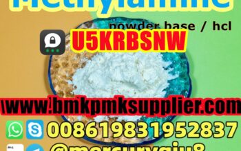 High quality Methylamine hydrochloride Methylamine