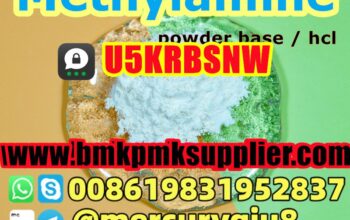 High quality Methylamine hydrochloride Methylamine